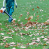 Importance du ramassage des feuilles mortes pour l'entretien d'un espace vert