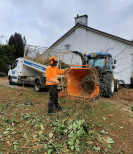 Ramassage de feuilles et taille de haies | Entretien extérieur professionnel